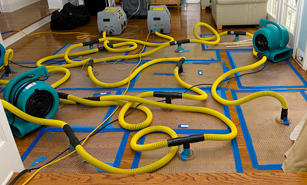 Professional Burst Pipe Water Damage technician working in Woodland, AL